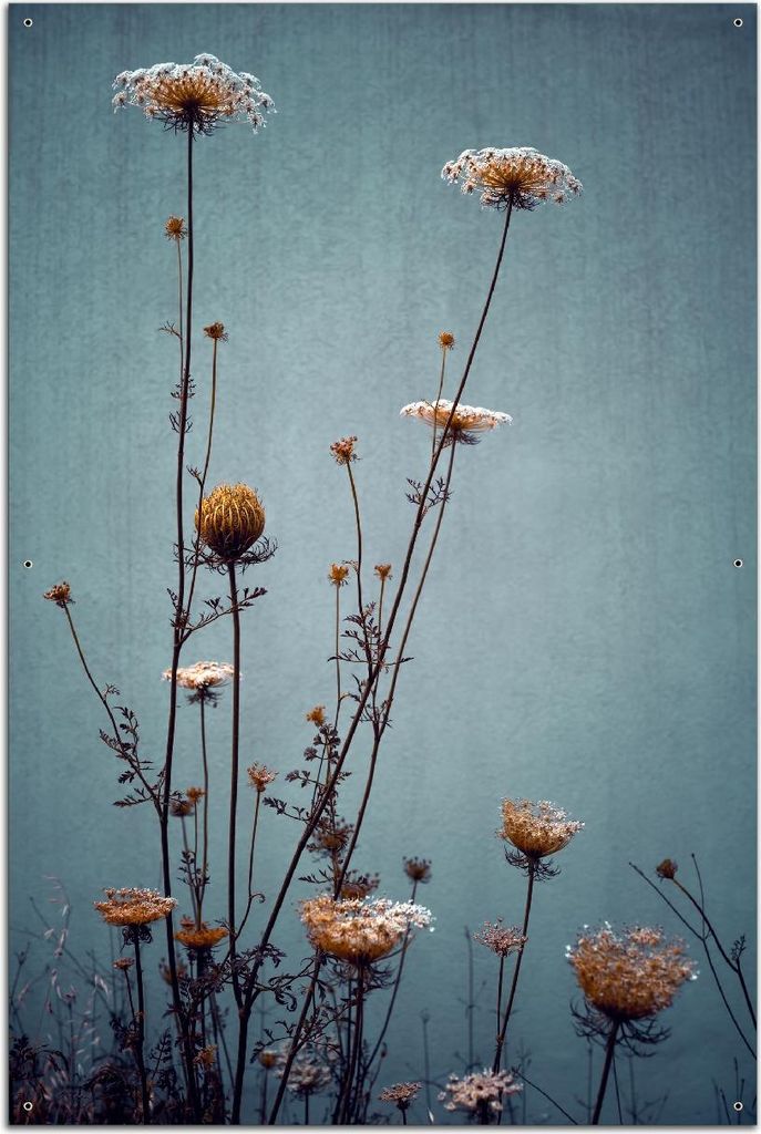 Wallario Outdoor-Poster für Garten oder Balkon, Motiv Filigrane Wildblumen, in ca. 61 x 91,50 cm