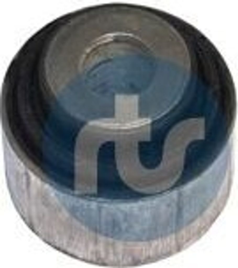 Lagerung Lenker für Querlenker für BMW X3 (F25) Hinten Rechts Unten Hinten Innen Hinten Links 017-00447 RTS