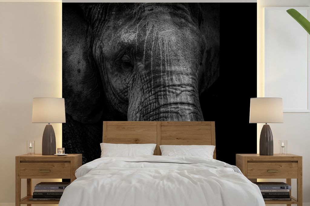 MuchoWow Fototapete für Wohnzimmer oder Schlafzimmer Wandtapete Vinyl Motivtapete Elefant - Tier - Schwarz - 260x260 cm - Papiertapeten