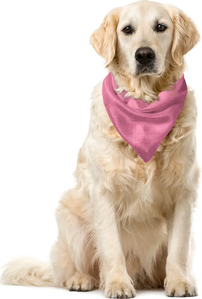 Bandana Lusso Cani ABAKUHAUS Rosa Rococò Damasco - 55x55 cm