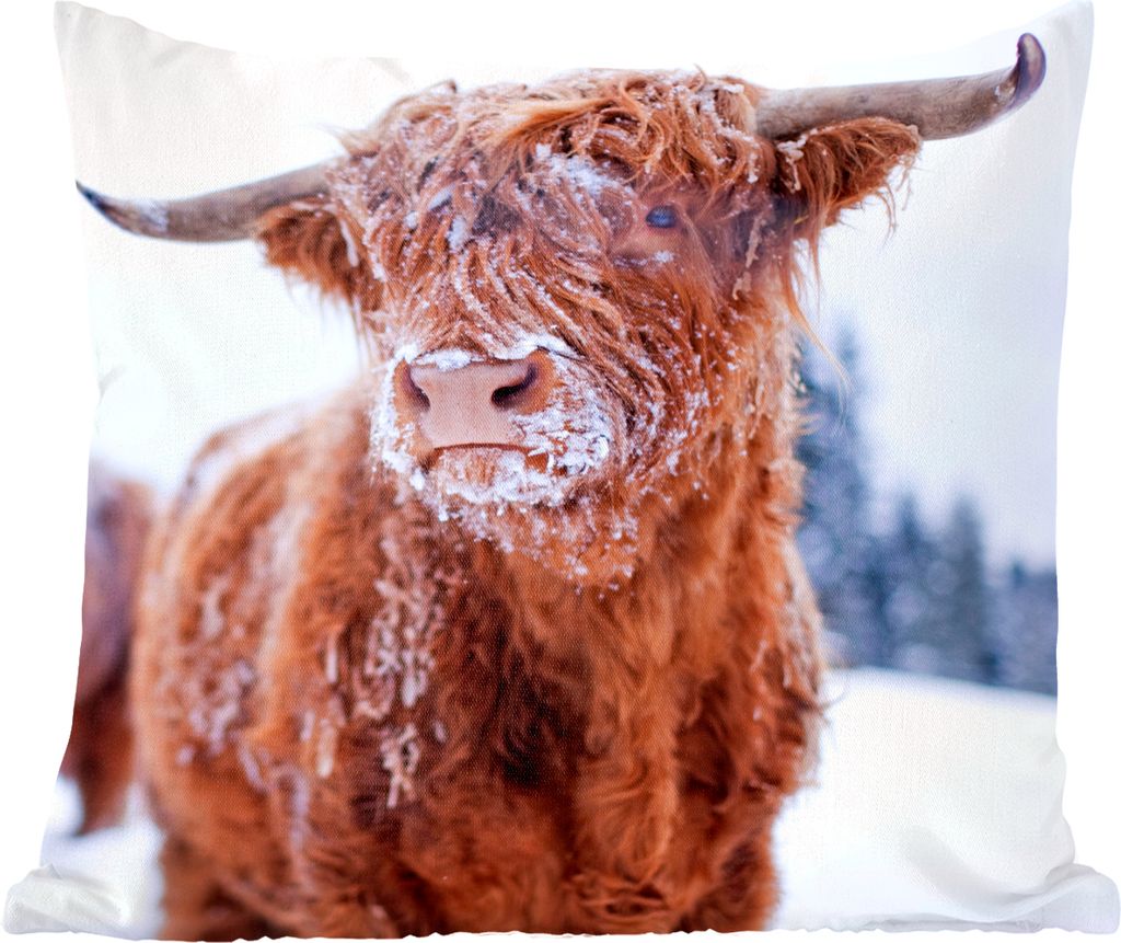 MuchoWow ZierKissen SofaKissen Wohnzimmer DekoKissen 40x40 cm Schottischer Highlander - Schnee - Haut - Sofakissenbezüge - ohne füllung