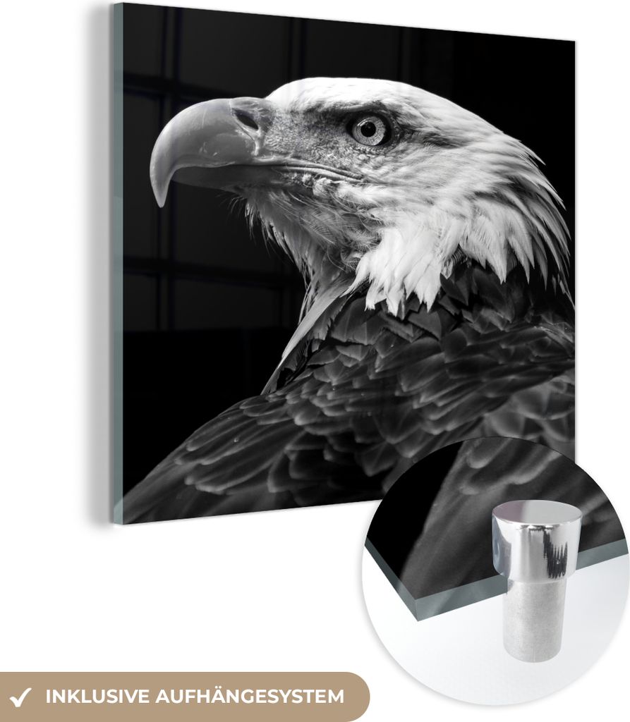 MuchoWow Glasbilder - Bilder auf Wandbild - Foto auf Glas Adler - Vogel - schwarz und weiß 90x90 cm Wanddekoration aus Glas - Acrylglasbild - Acry...