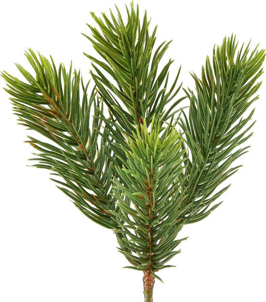 Künstliche Fichtenzweige für Tischdeko und Weihnachtskränze flexibel dekorativ, 24 Stück