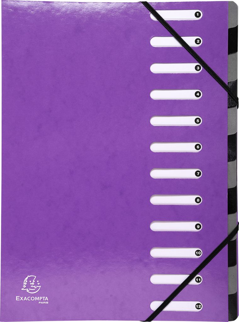 Exacompta 6x Ordnungsmappe Harmonika dehnbar Karton 12 Fächer Violett 53926E