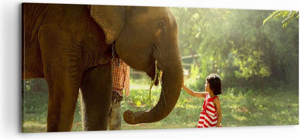 Bild auf Leinwand - Leinwandbild - Elefant Tier - 120x50cm Produktbild 