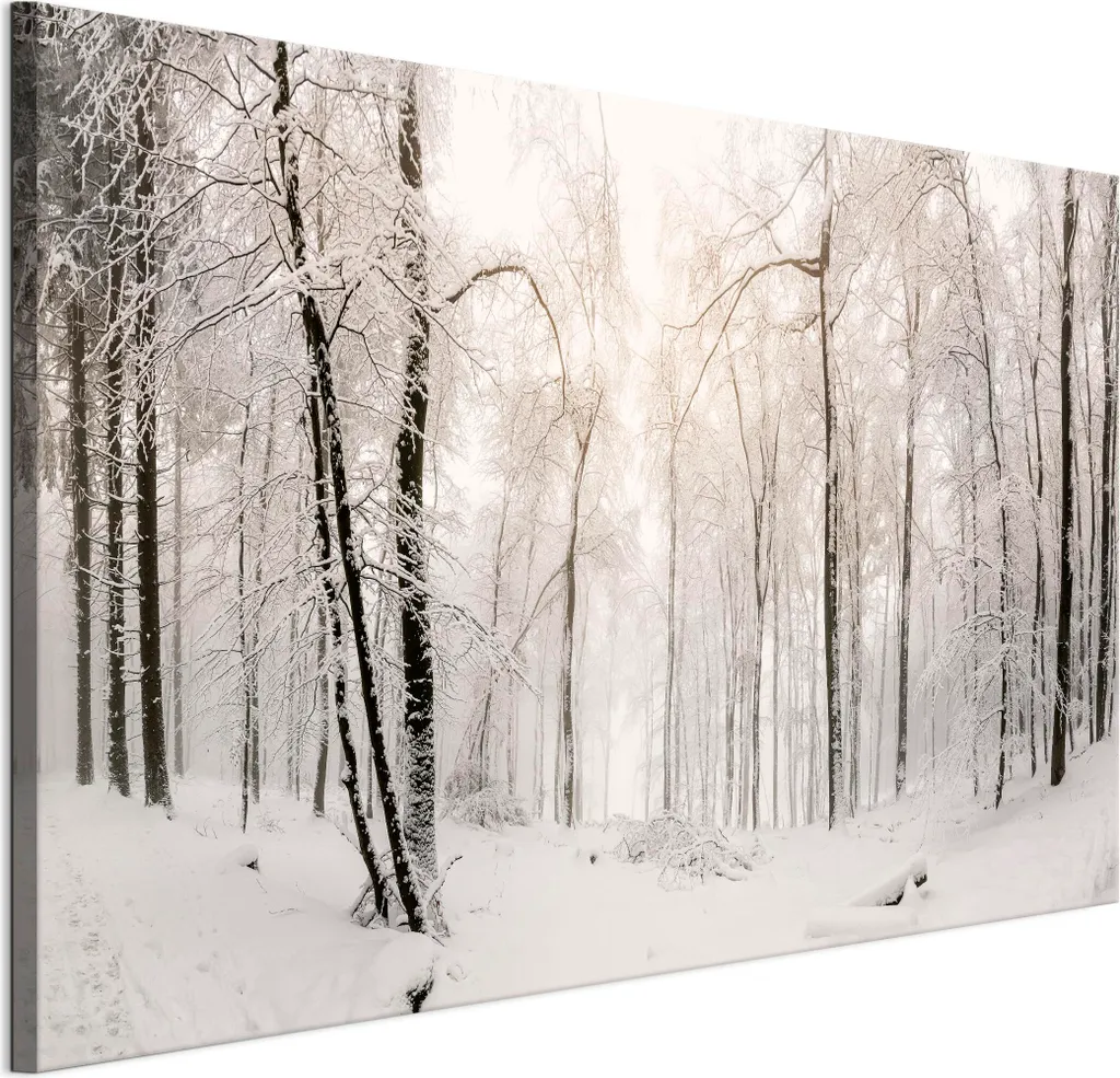 Quadro Moderno LUMASOUL 90x60 cm - Paesaggio Invernale Design Camera