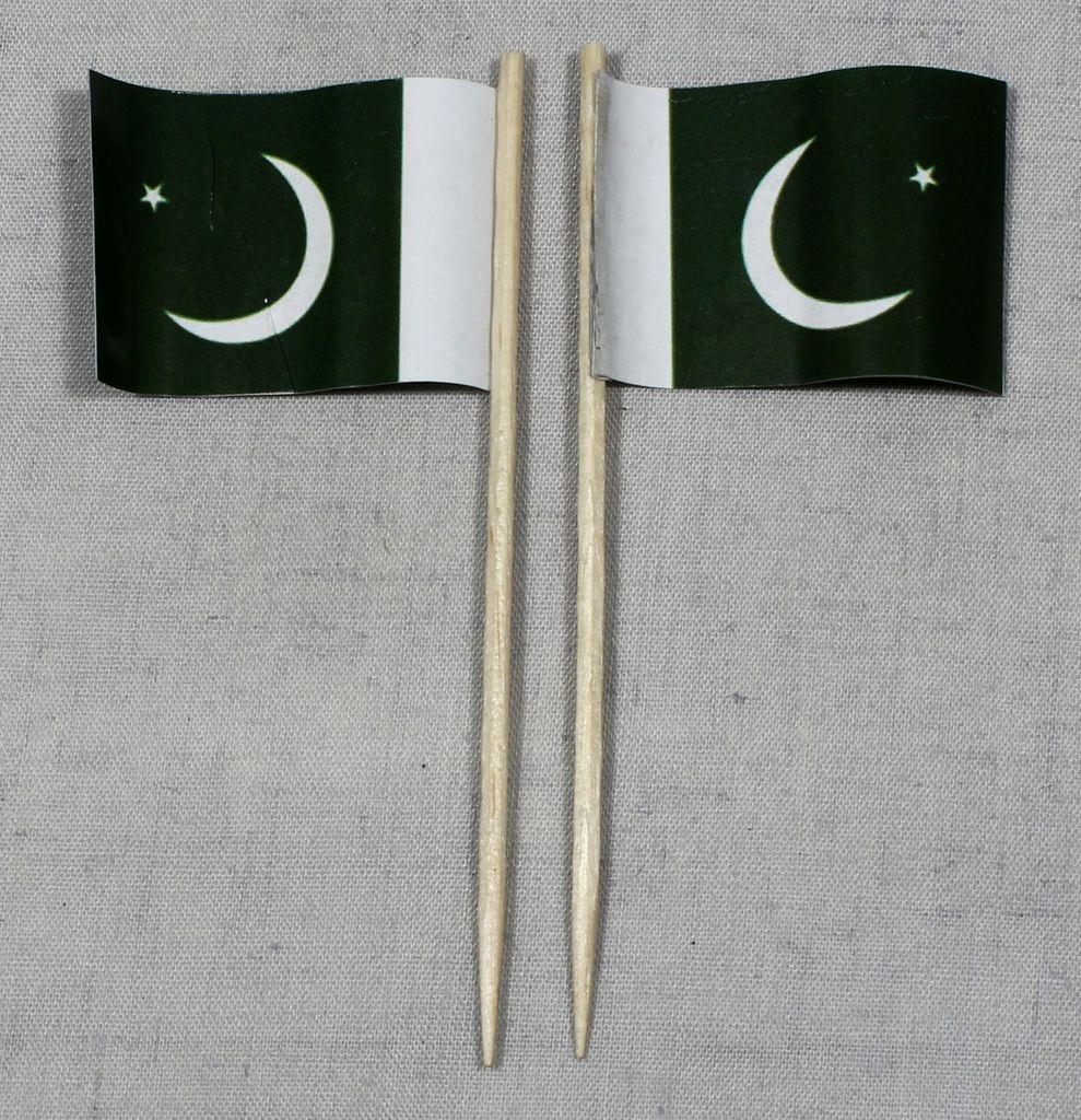 Party-Picker Flagge Pakistan Papierfähnchen in Produktbild 