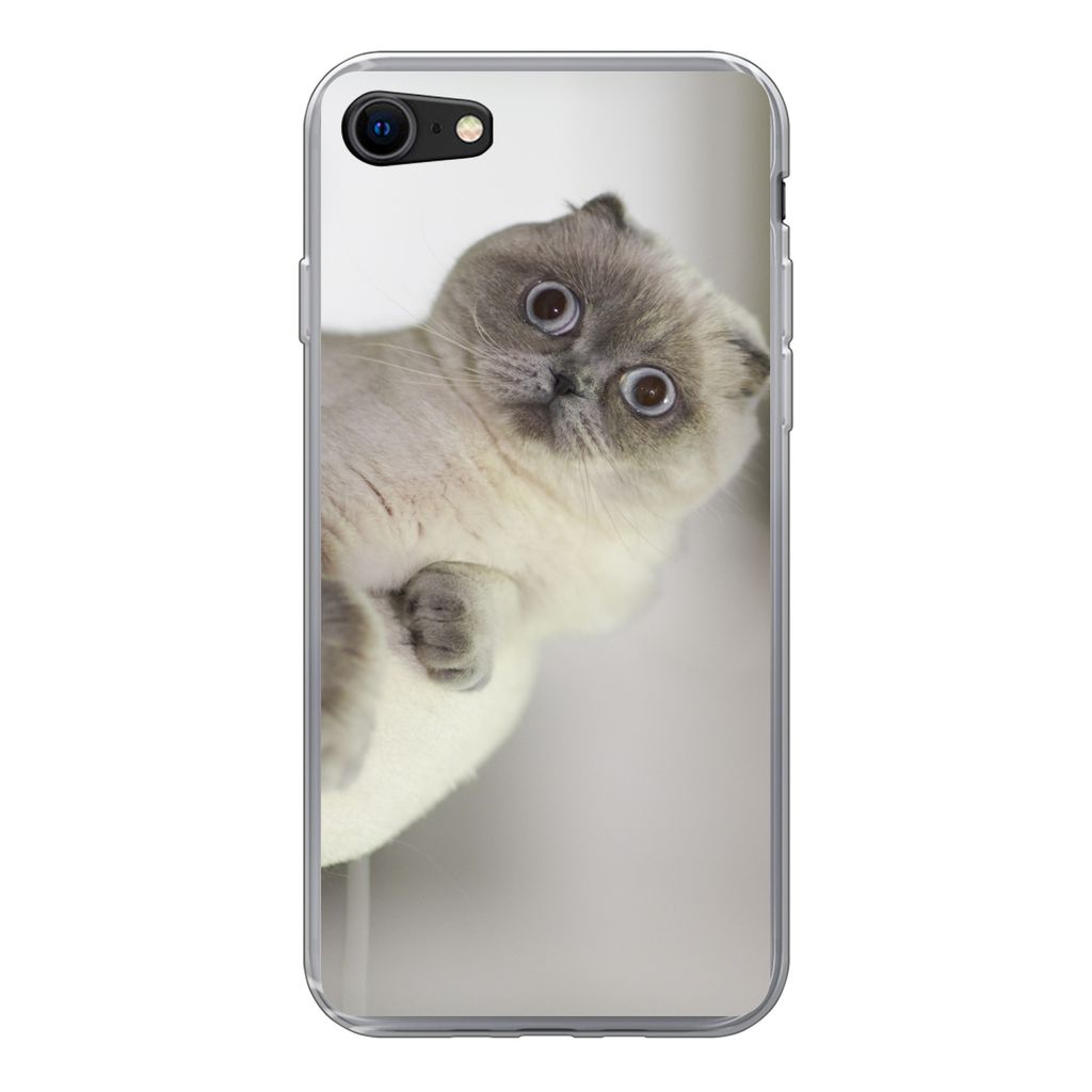 MuchoWow Handyhülle Schutzhülle Hülle für iPhone SE 2020 Katze - Tier - Wohnzimmer Silikon Softcase Handy Hülle - Kartenbesitzer
