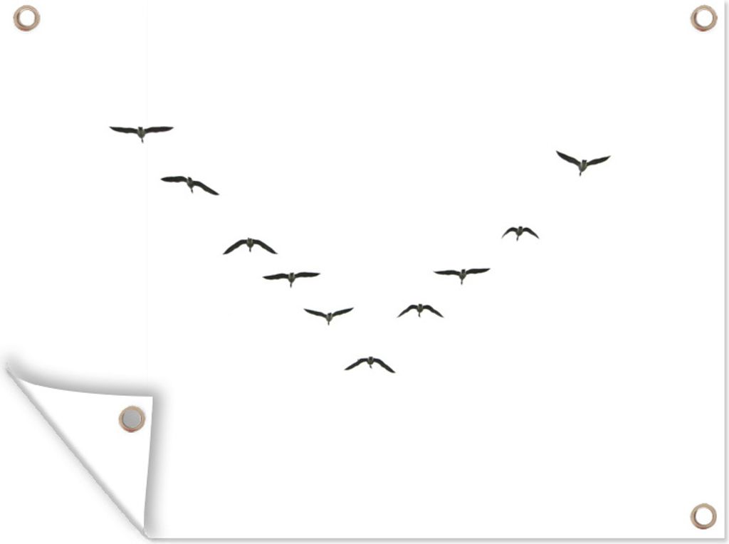 MuchoWow 40x30 cm Outdoor-Poster Gartendeko Sichtschutz Garten Poster für den Garten Gänse - Vögel - Weiß