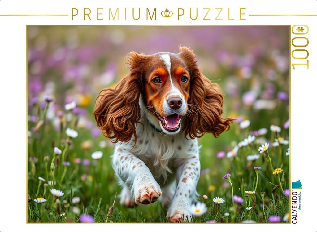 CALVENDO Puzzle Junger American Cocker Spaniel | 1000 Teile Lege-Größe 64x48cm Foto-Puzzle für glückliche Stunden