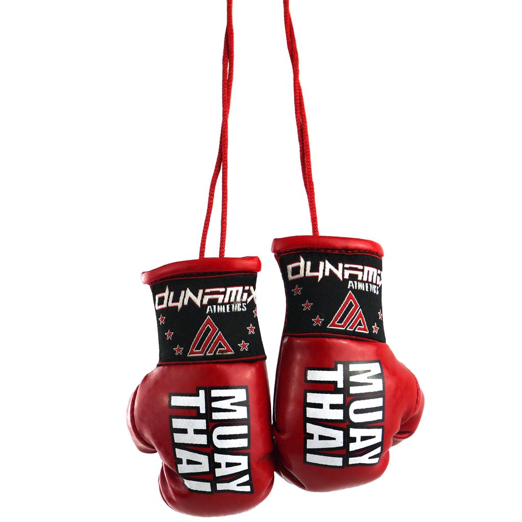 Dynamix Athletics Autospiegel Mini Boxhandschuhe Muay Thai Rot