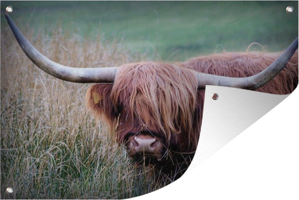 MuchoWow 120x80 cm Outdoor-Poster Gartendeko Sichtschutz Garten Poster für den Garten Schottischer Highlander - Porträt - Rindsleder