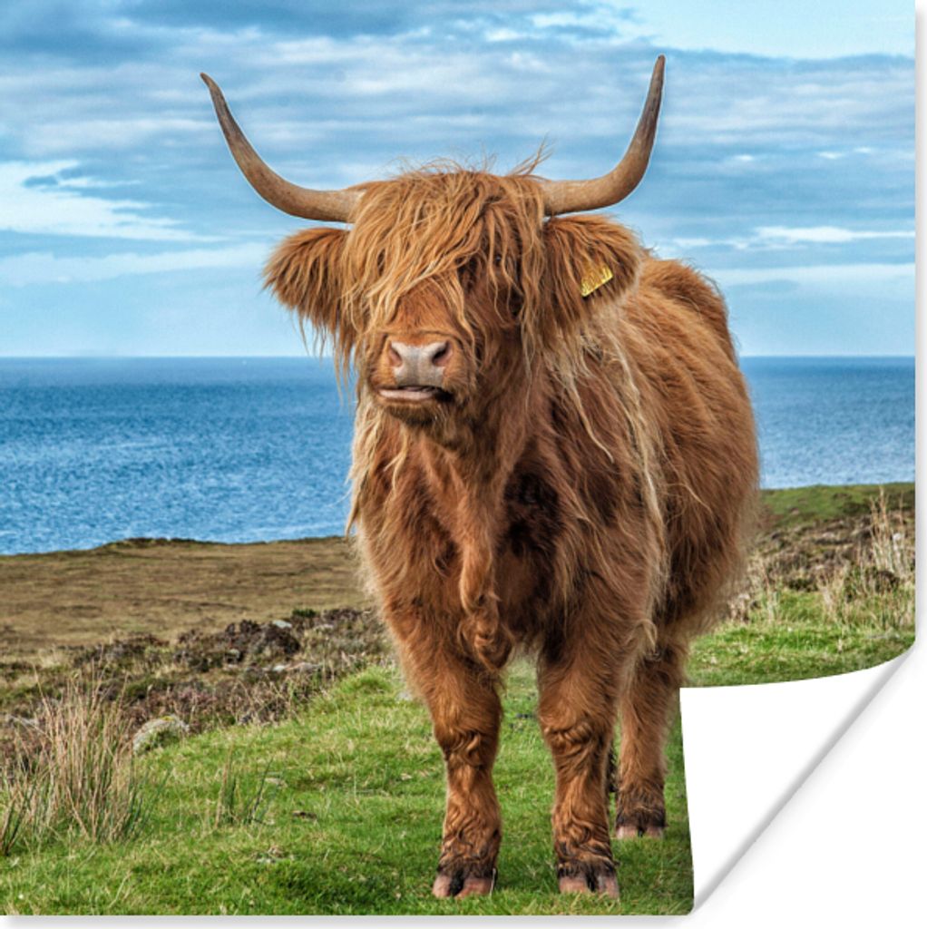MuchoWow Poster Schottischer Highlander - Wasser - Hörner 75x75 cm - Wand Dekoration