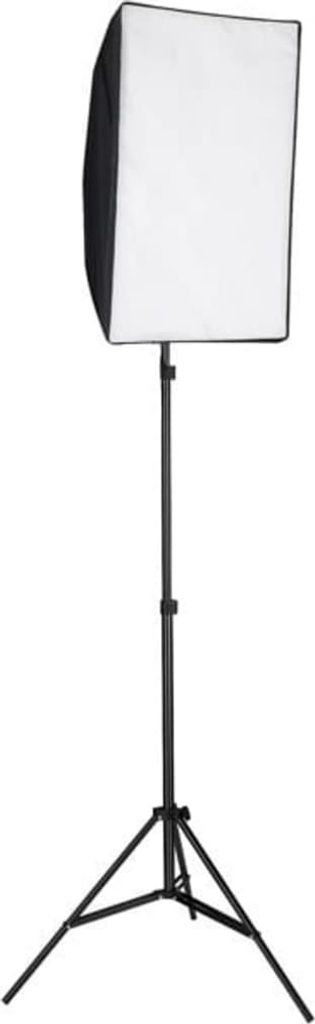 vidaXL Illuminazione professionale da studio 60 × 40 cm Immagine del prodotto 