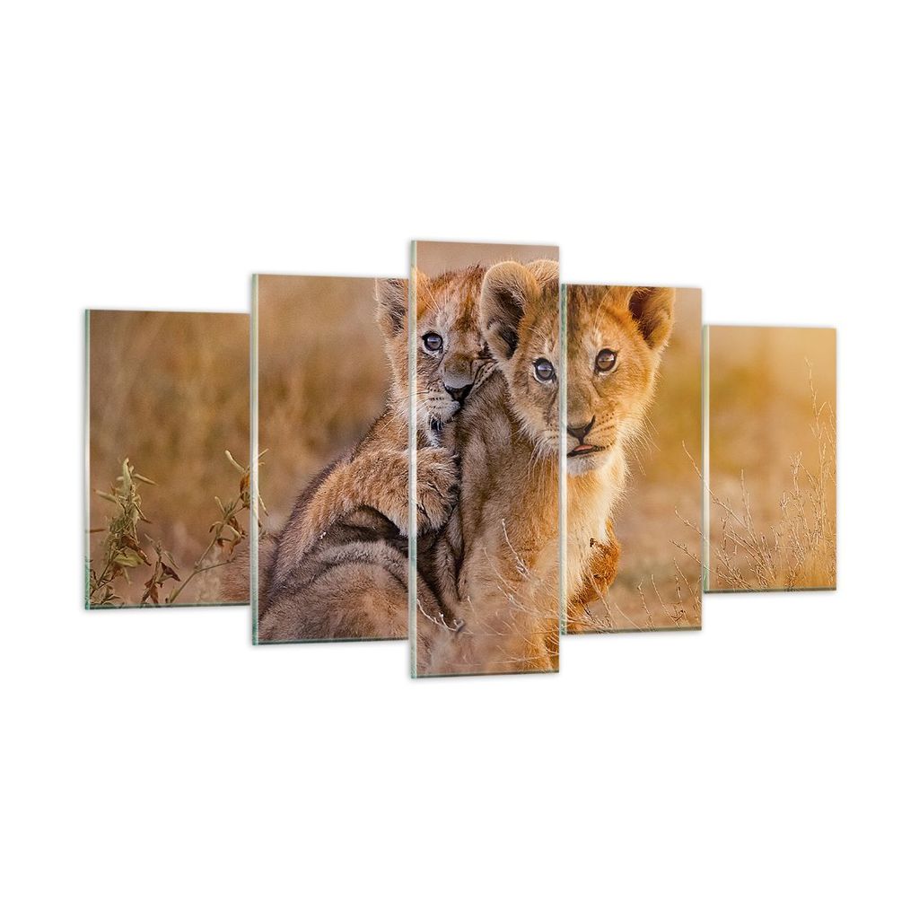 Bilder auf glas - Löwe Natur Tier - 160x85cm - Glasbilder - Wandbilder - Kunstdruck - zum Aufhängen bereit - Wanddekoration aus Glas - Glas Bilde...