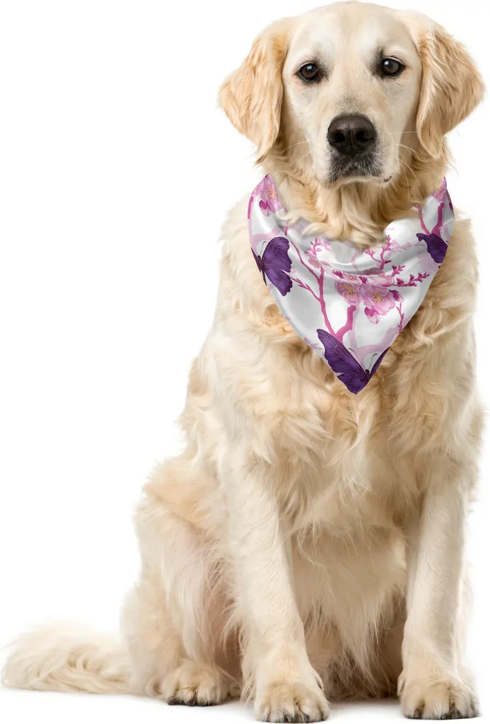 Bandana ABAKUHAUS Design Floreale 40x40cm Viola Multicolore