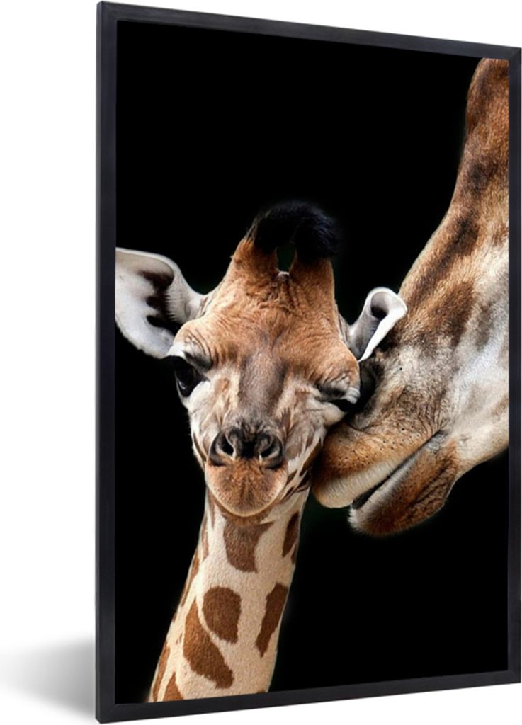 MuchoWow Gerahmtes Poster Giraffe - Tiere - Schwarz - Porträt - Tiere 40x60 cm - Poster mit Schwarzem Bilderrahmen Wandposter Rahmen Foto Bilder...