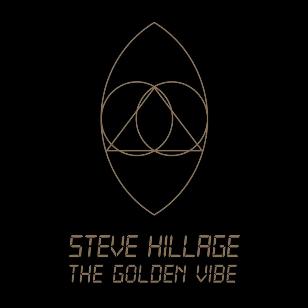Vinyle Steve Hillage The Golden Vibe idéal pour l'écoute Hi-Fi de Salon