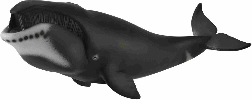 COLLECTA Baleine du Groenland Image du produit 