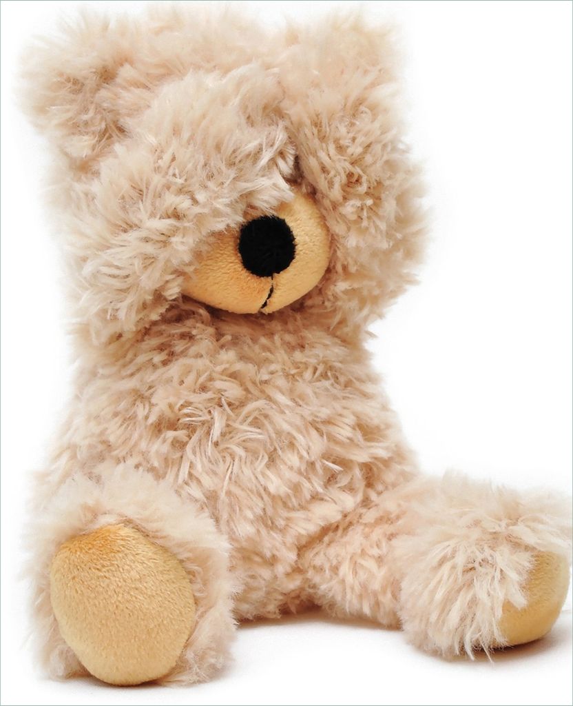 Wallario Magnet für Kühlschrank / Geschirrspüler, magnetisch haftende Folie - 60 x 80 cm, Motiv: Süßer Teddybär
