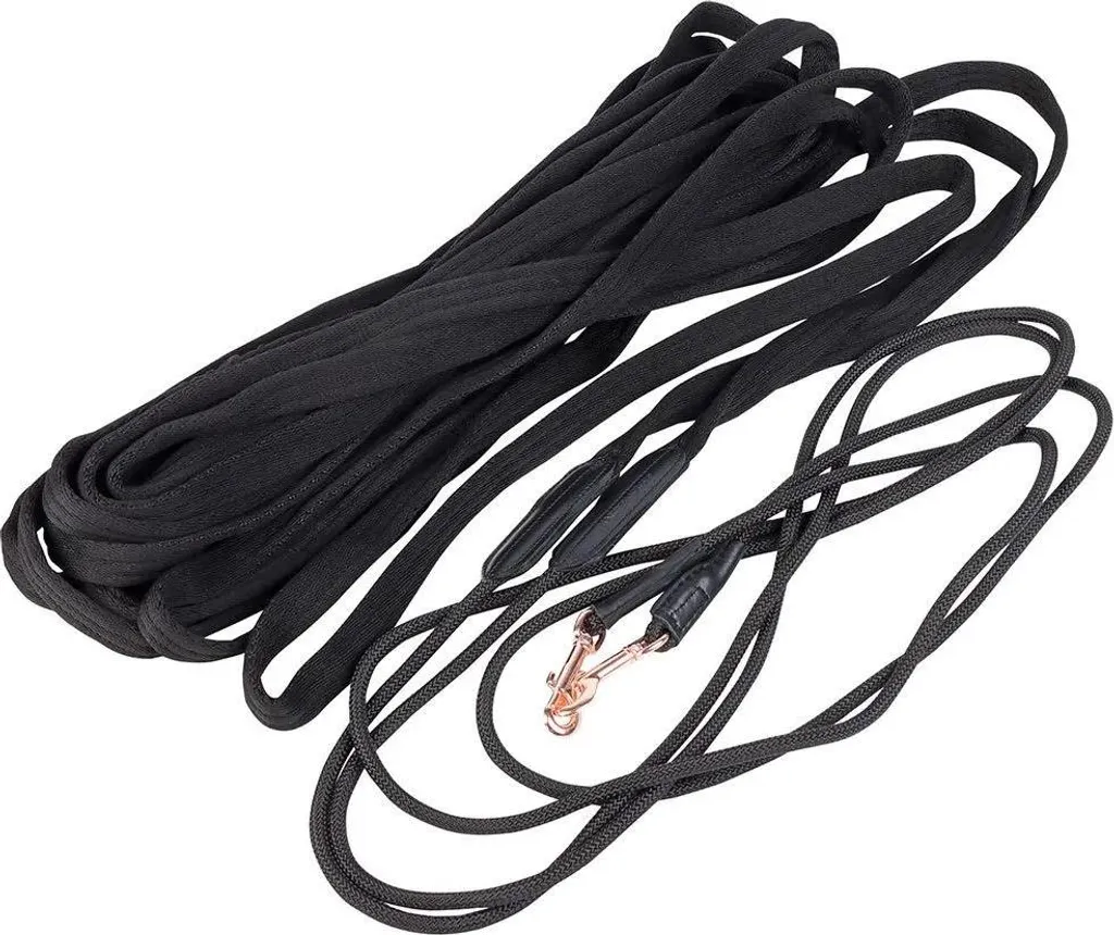 Rênes pour Travail à la Longe Harry's Horse Rosegold Noir One Size