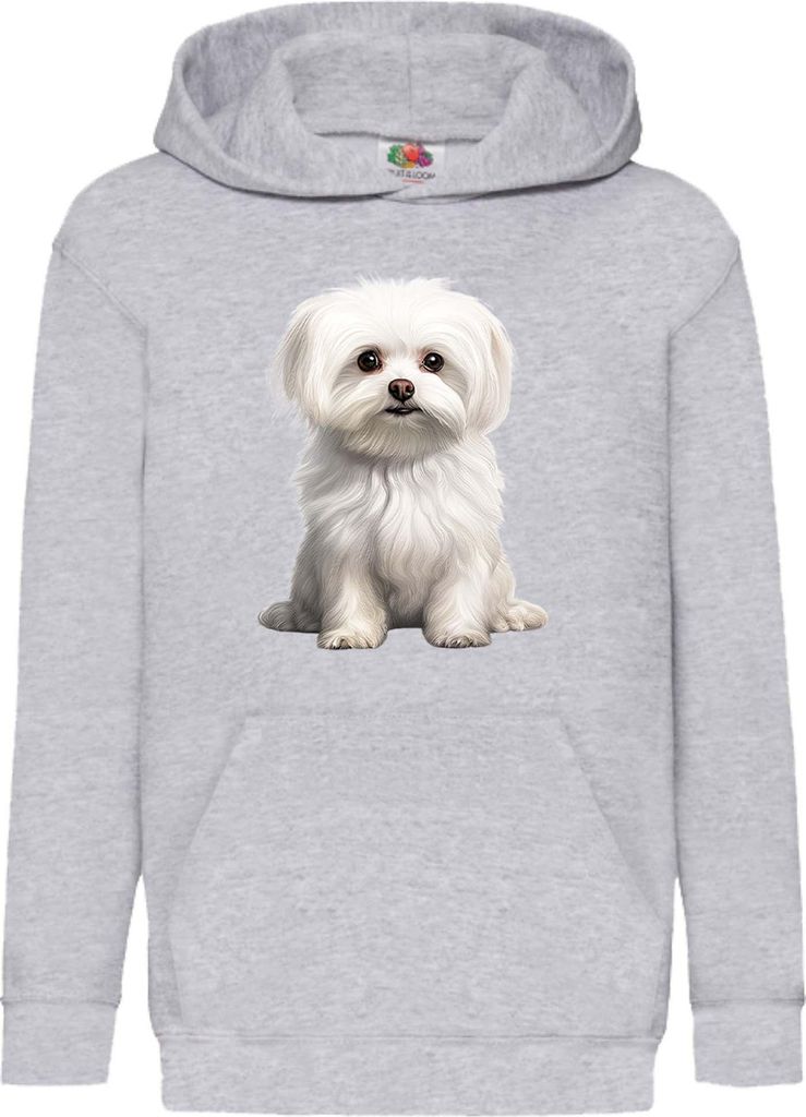 Kinder Kapuzenpullover Dogs Breeds Maltese Dog Breed 006, 9-11 Jahr - 140 / Grau