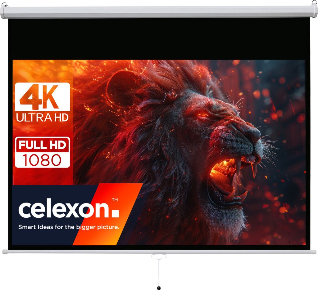 celexon basic Rollo-Leinwand 110" | 240x135 cm 16:9 | ausziehbare Full-HD 4K Beamer-Leinwand für Heimkino oder Büro-Präsentationen | Projektions...