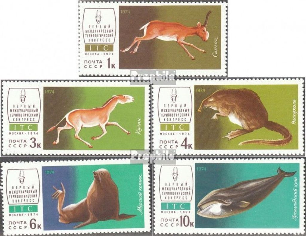 Briefmarken Sowjetunion 1974 Mi 4238-4242 (kompl.Ausg.) gestempelt Internat. Theriologischer Kongreß