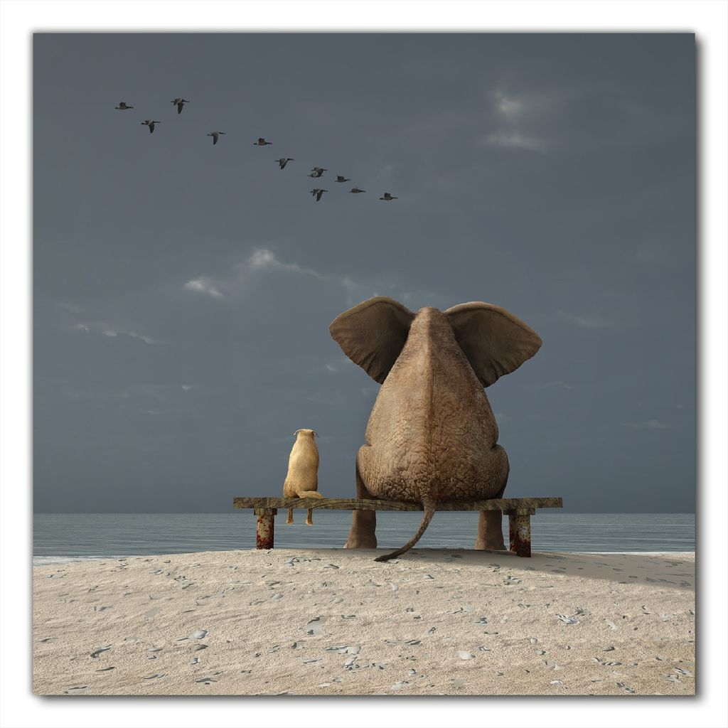 Wallario selbstklebende Möbelfolie/ Tischdecke für Innen und Außen, Größe: 90 x 90 cm - Elefant und Hund sitzen auf einer Bank