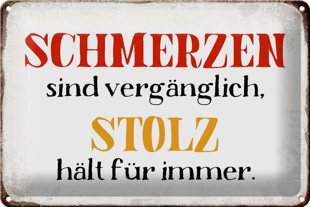 Blechschild Spruch 30x20cm Schmerzen Stolz hält für immer Produktbild 