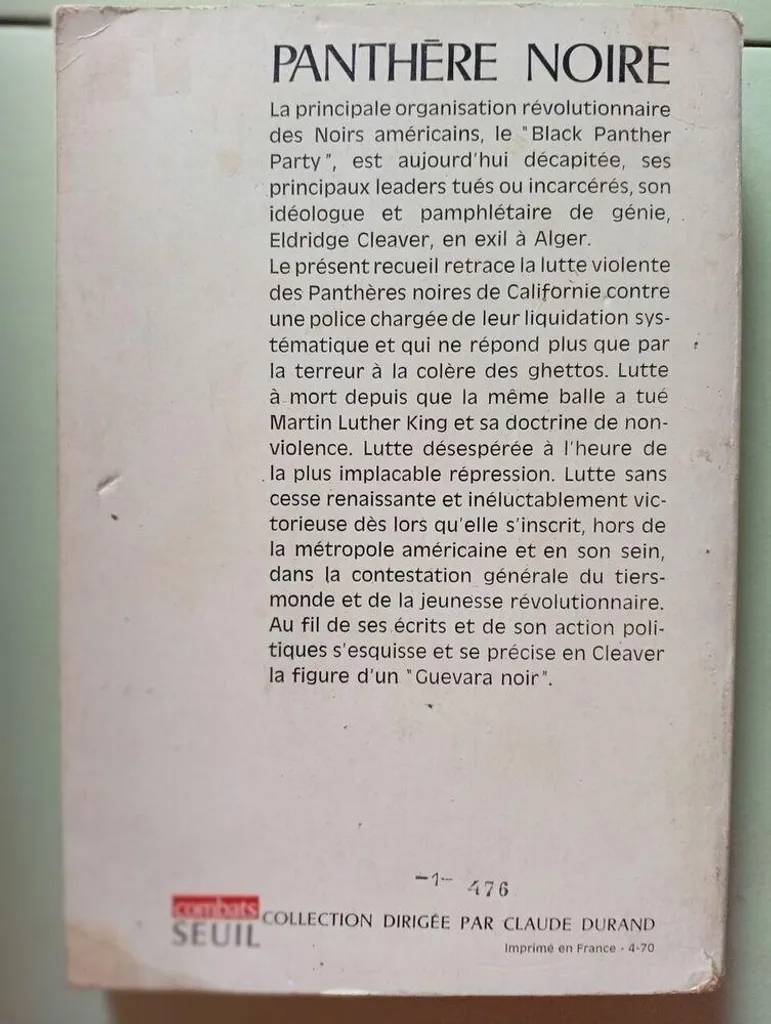 Panthère Noire en Résine Incassable pour une Déco Design Sans Risque