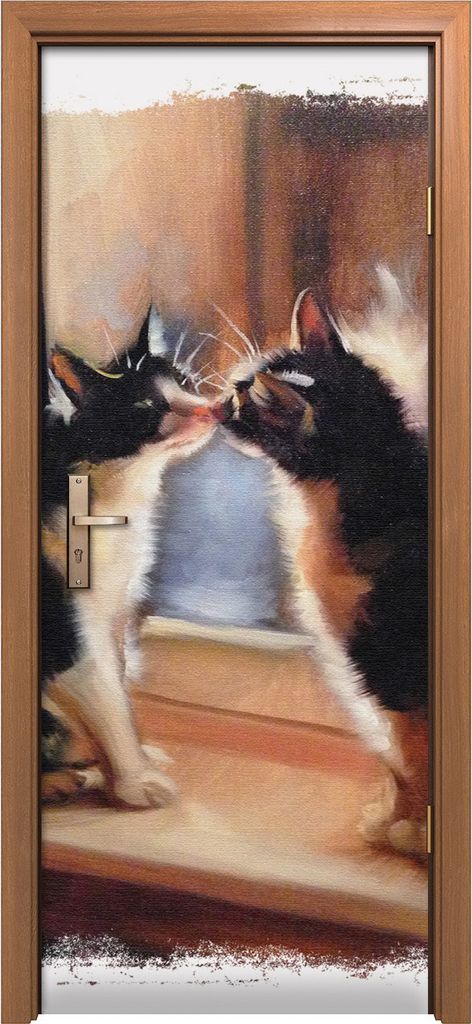 Türposter 80x200 cm Türaufkleber Türtapete Türfolie Produktbild 
