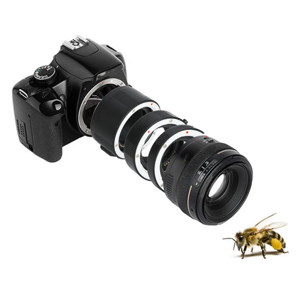 Bague macro pour Canon EOS - Solution économique pour photos de très près