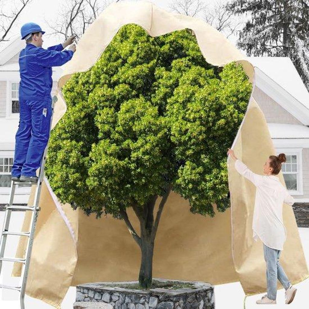 Protection hivernale pour plantes, respirante, Image du produit 