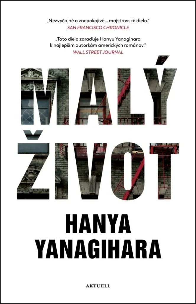Roman contemporain Une Vie comme les autres Malý život grand format