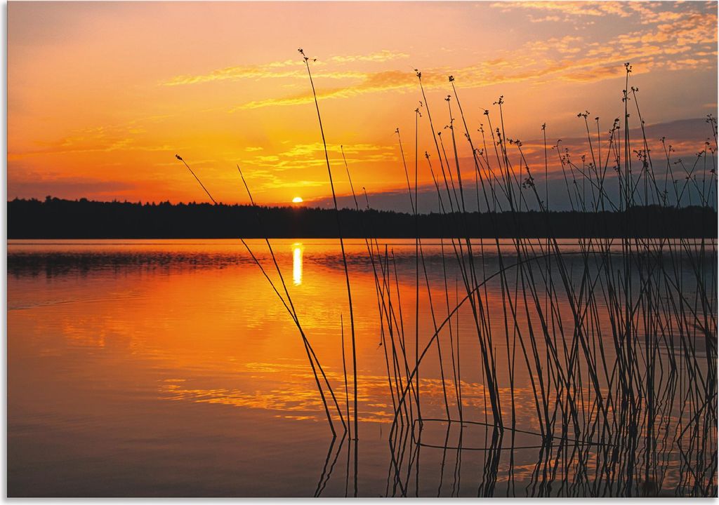 ARTland Wandbild Alu für Innen & Outdoor Landschaft mit Sonnenaufgang Größe: 100x70 cm