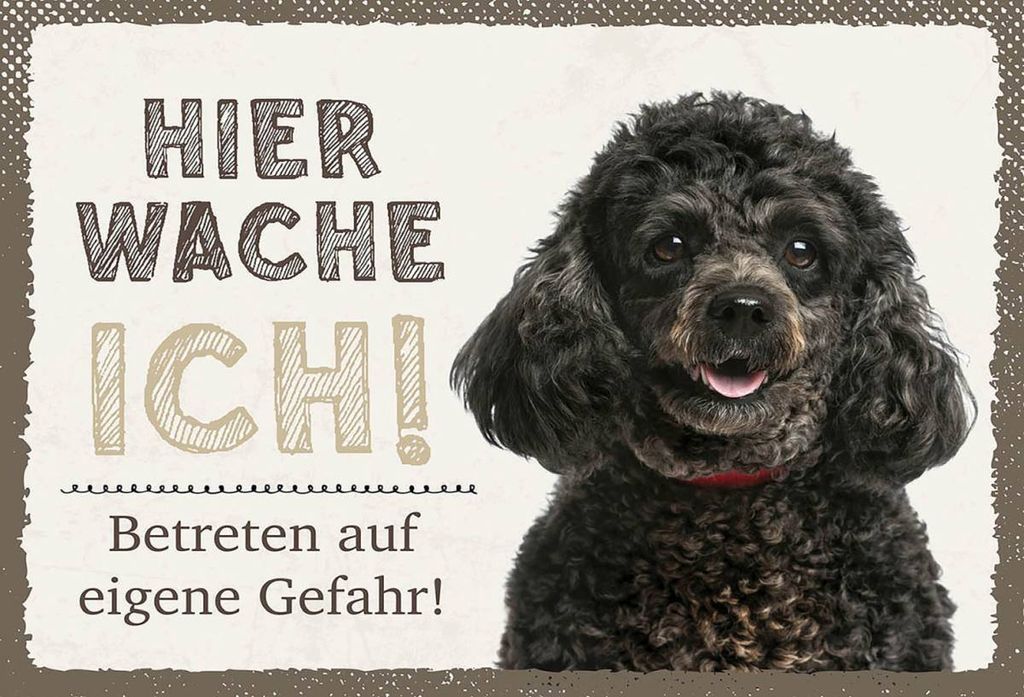 vianmo Holzschild 12x18 cm Pudel hier wache eigene Gefahr