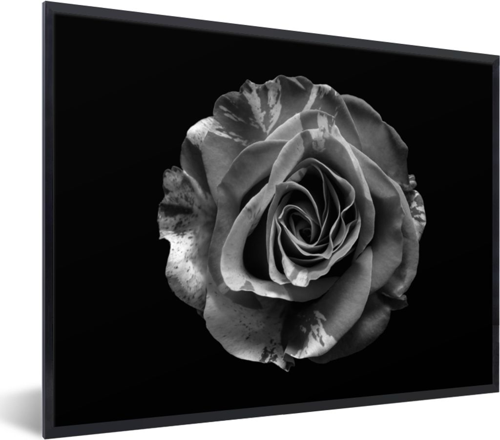 MuchoWow Gerahmtes Poster Blumen - Rose - Schwarz - Weiß - Botanisch 40x30 cm - Poster mit Schwarzem Bilderrahmen Wandposter Rahmen Foto Bilder ...