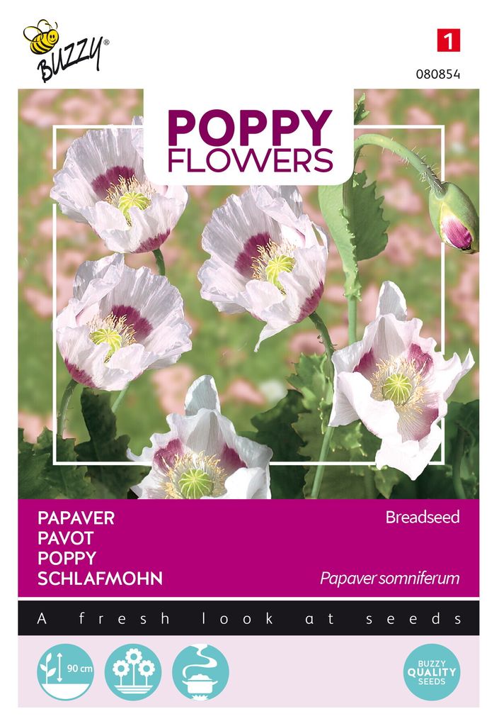 Buzzy Poppy Flowers Schlafmohn Blaumohn Samen - Ca. 1 gr | Produktbild 