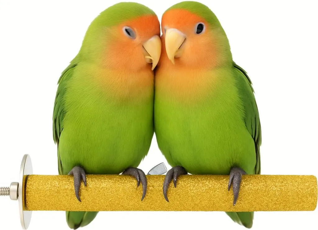 Artiglio Strigliatore 15x2,5 cm - Striglia Dolce ma Efficace