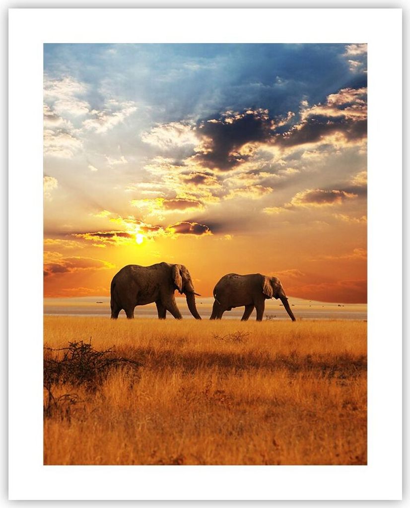Poster - Poster ohne Rahmen - Elefanten Safari Dschungel Busch - 40x50 cm - Wand Bild - Wanddeko - Wandbilder - Kunstposter - Wandposter - Bilder -...