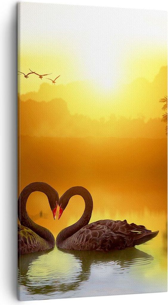 Bild auf Leinwand - Leinwandbild - Schwan Wasser Paar - 45x80cm - Wand Bild - Wanddeko - Wandbilder - Leinwanddruck - Bilder - Kunstdruck - Wanddek...