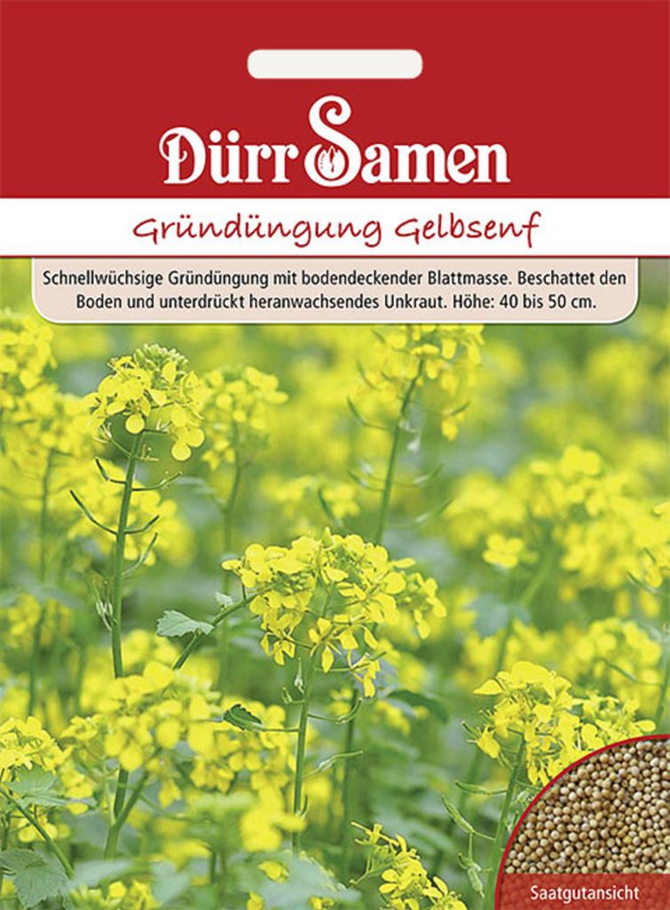 Dürr-Samen - Gründüngung Gelbsenf 80 g - Saatgut - 4171 Produktbild 