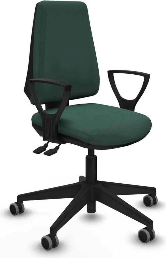 Chaise de bureau contre le mal de dos BFN066G vert ergonomique
