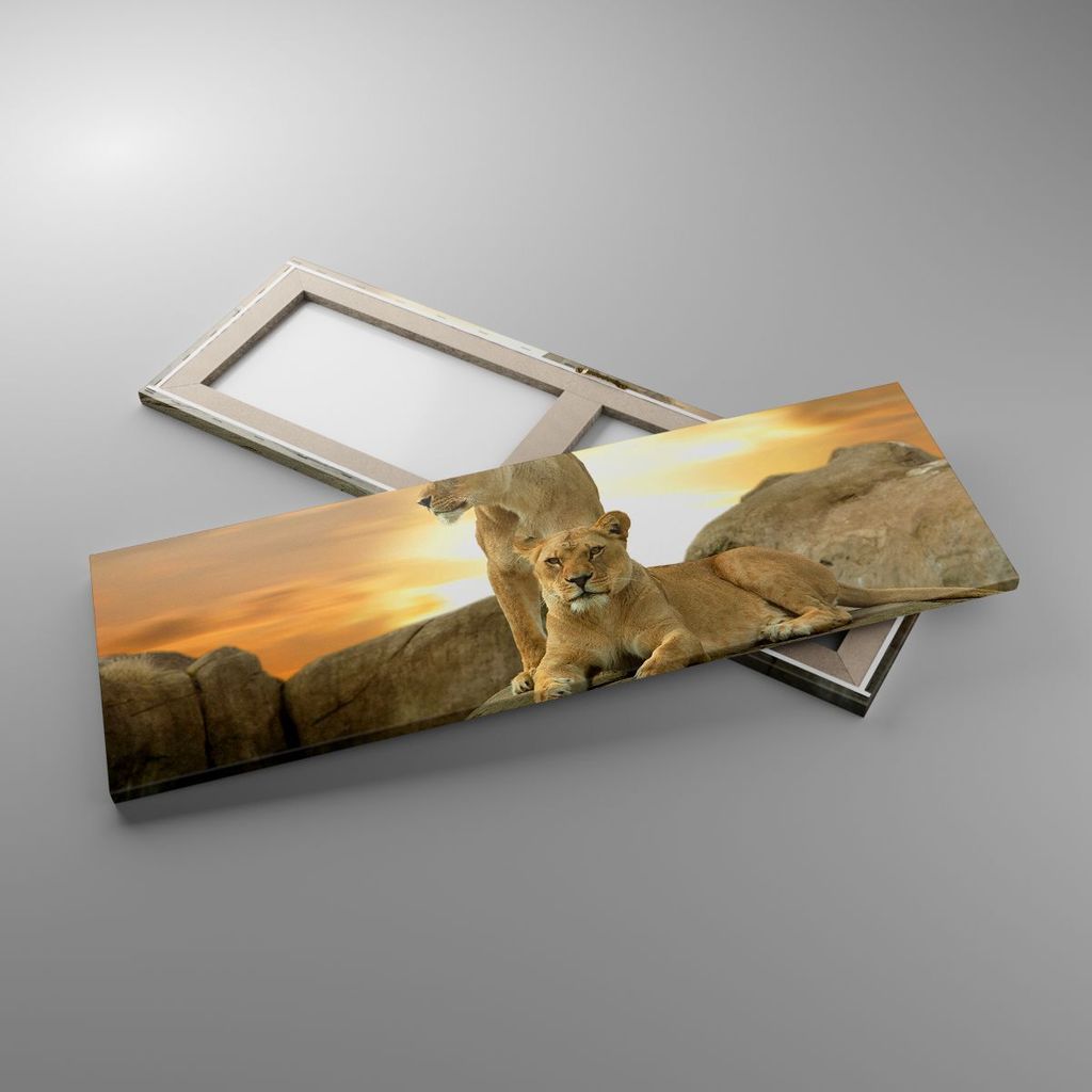 Bild auf Leinwand - Leinwandbild - Löwen Sonnenuntergang Felsen Krallen - 90x30cm - Wand Bild - Wanddeko - Leinwanddruck - Bilder - Kunstdruck - L...