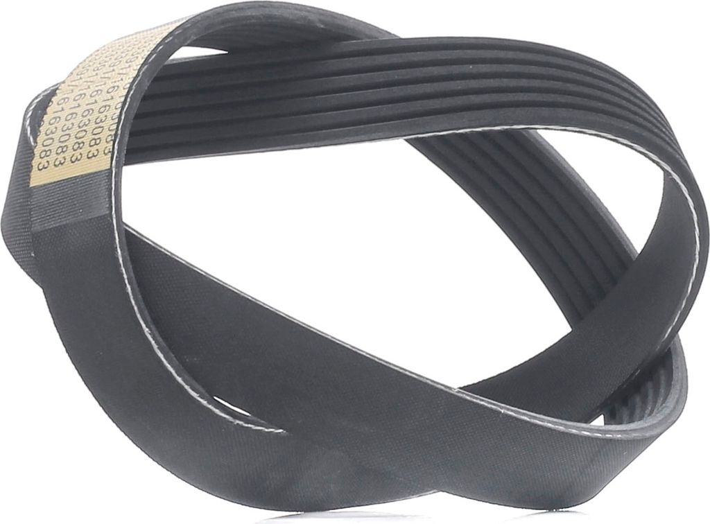 RIDEX Keilrippenriemen 841mm für VW CRAFTER 30-35 Bus (2E) 305P0487