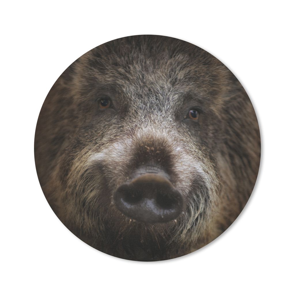 MuchoWow Mauspad Mousepad Wildschwein - Tier - Schwein 50x50 cm - Mousepads - Maus Mat - Pad - Mausunterlage - Vinyl