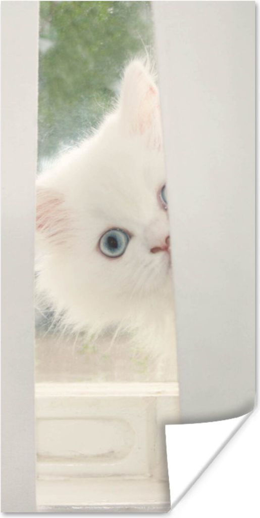 MuchoWow Poster Weiße Perserkatze mit blauen Augen schaut durch einen Vorhang 20x40 cm - Plakat - Foto
