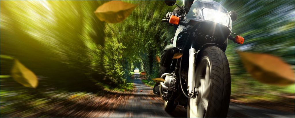 Wallario Poster - Fahrendes Motorrad im Wald mit Herbstlaub, Kunstdruck Größe: 80 x 200 cm