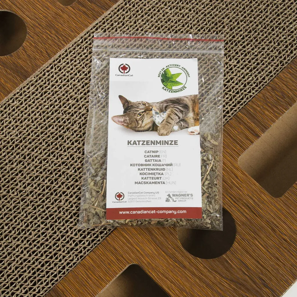 Recensione PlayPlate MEDIUM Canadian Cat - Tiragraffi e Gioco - 10